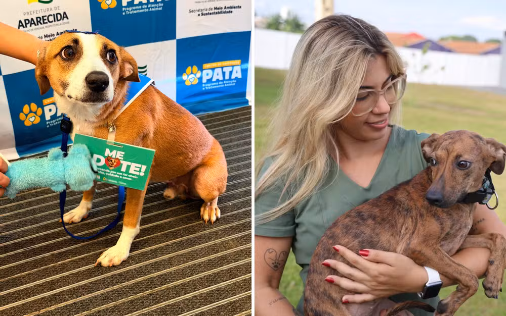 PATA atendeu 4,6 mil animais em Aparecida