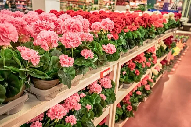 plantas e flores em vasos para venda no mercado florista ou loja 984126 3963 | PortalGO