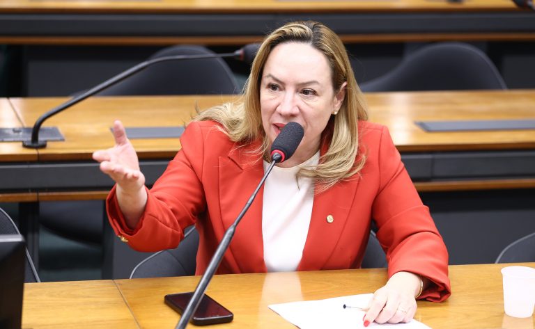 Comissão aprova parecer de Adriana Accorsi sobre diretrizes das Rondas Maria da Penha