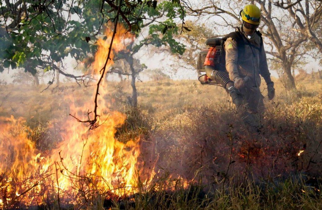 Governo de Goiás decreta emergência ambiental por 120 dias para prevenir incêndios florestais