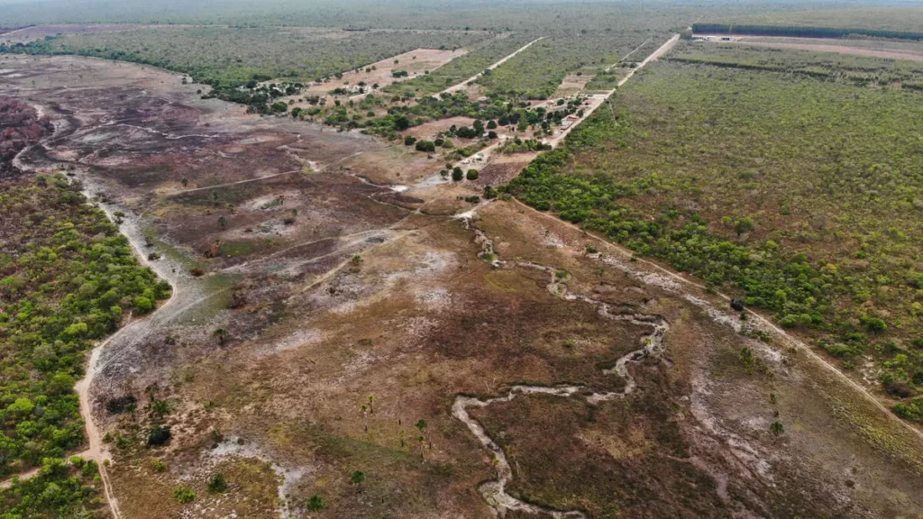 1787914771 capa cerrado facil e legal desmatamento no cerrado bate recorde e avanca sem resistencia | PortalGO