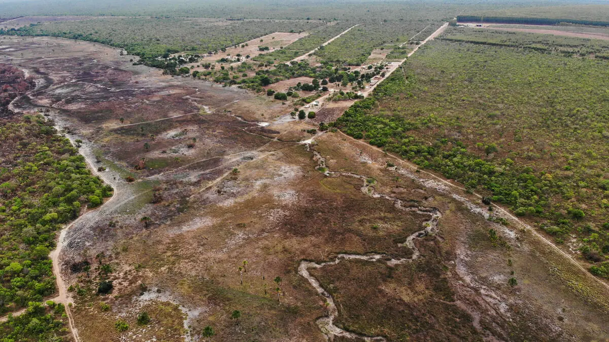 Operação identifica 164 hectares de desmatamento ilegal em Goiás