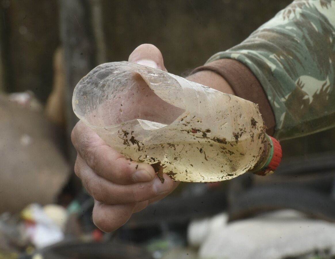 Chikungunya dispara e dengue ainda preocupa; SES reforça cuidados