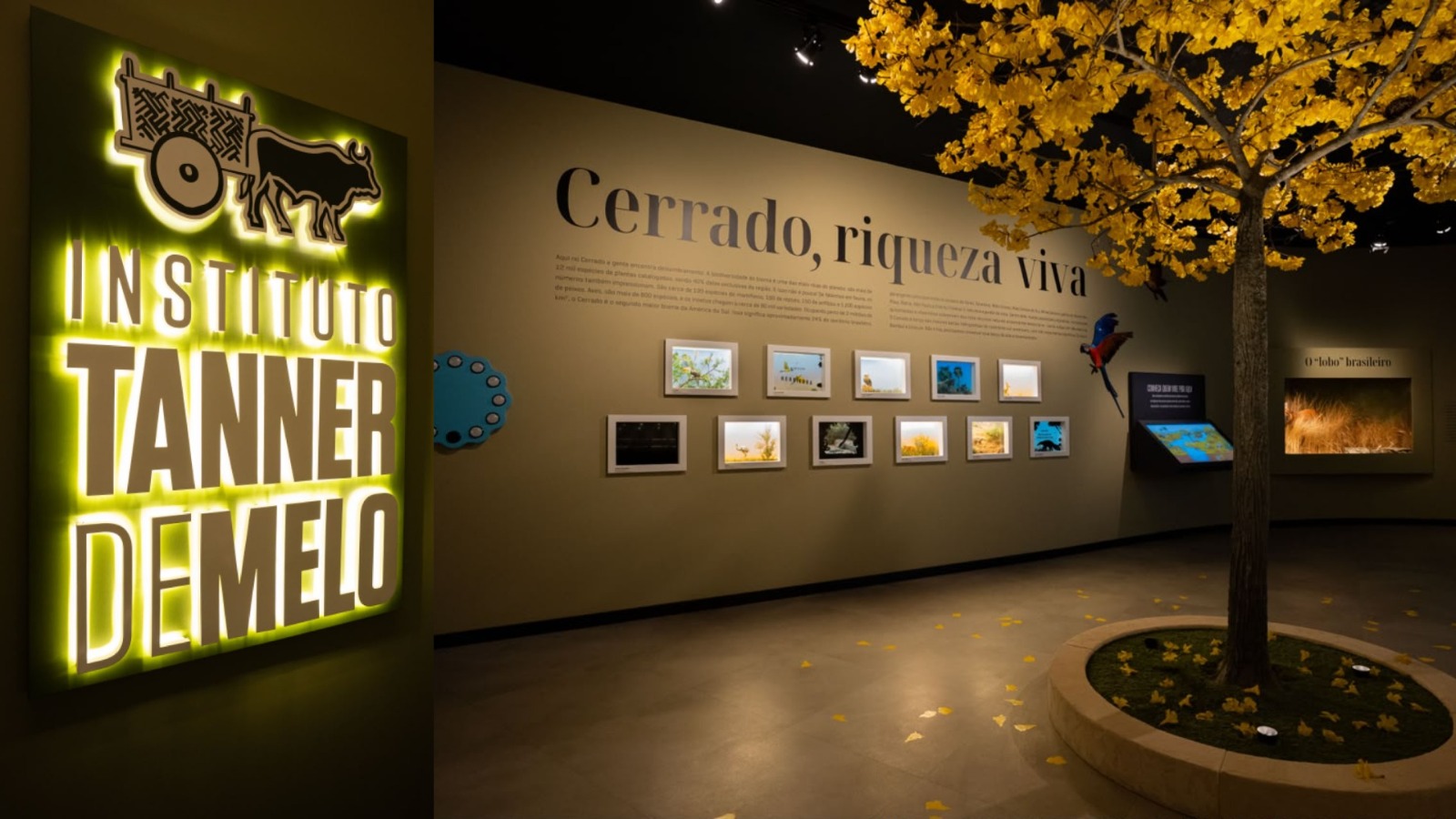 Museu imersivo usa inteligência artificial e holografia para contar a história de Aparecida de Goiânia