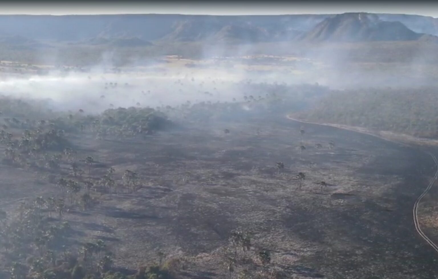 Fogo atinge 8 mil hectares no Parque Terra Ronca e mobiliza 40 bombeiros