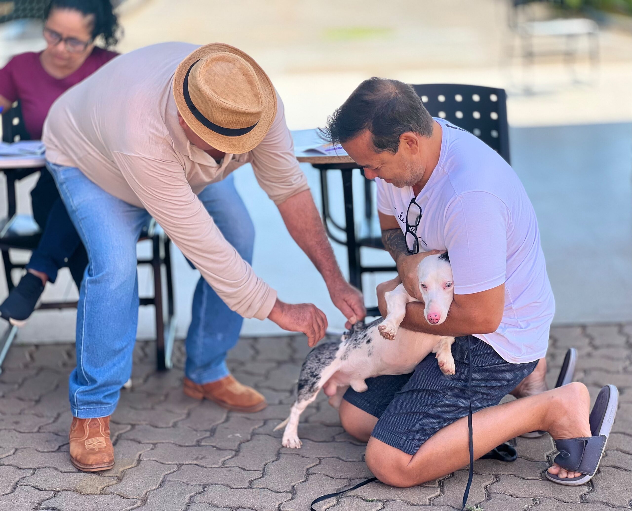 Vacinação antirrábica em Goiânia tem 141 postos neste sábado; veja endereços