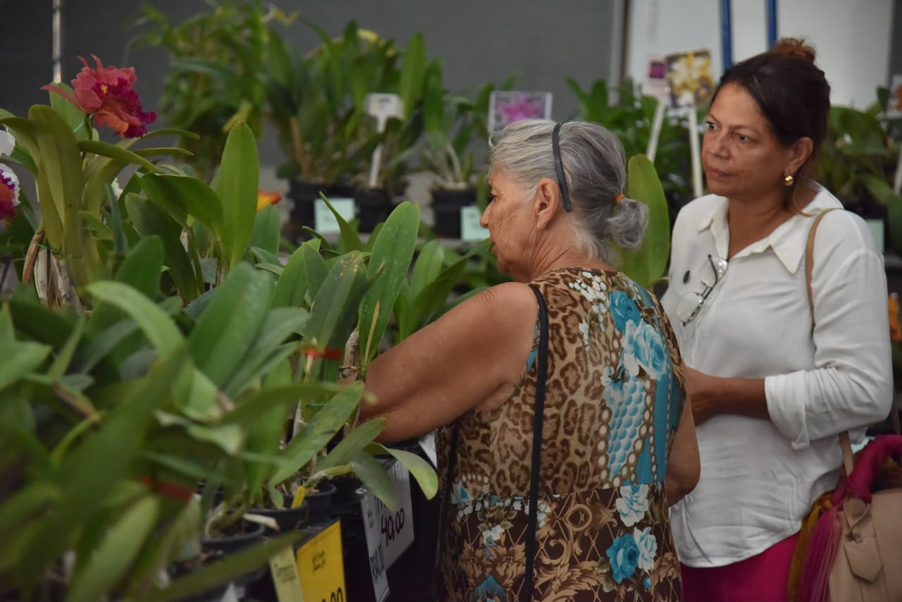 Exposição de orquídeas e rosas do deserto reúne plantas, frutas exóticas e gastronomia em Aparecida