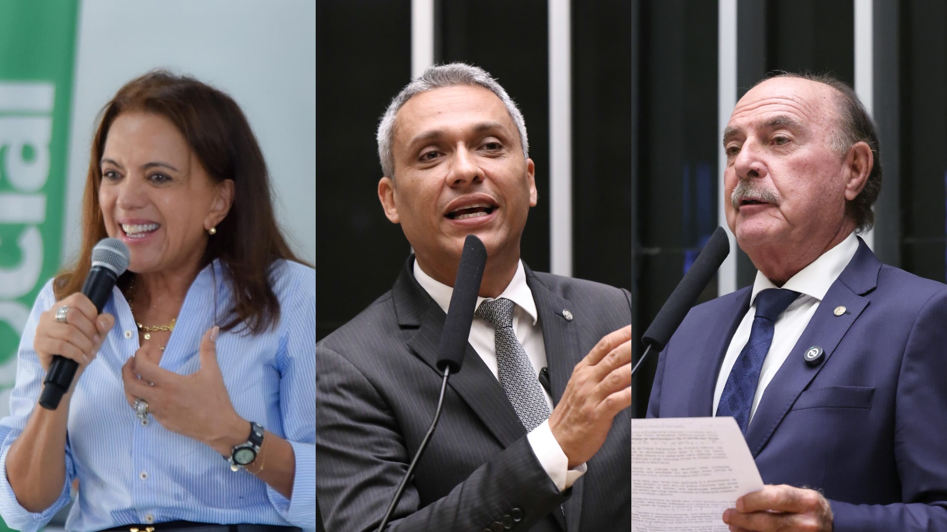 Quaest para o Senado em Goiás: Gracinha tem 21%; Gayer, 13%, e Zacharias, 12%