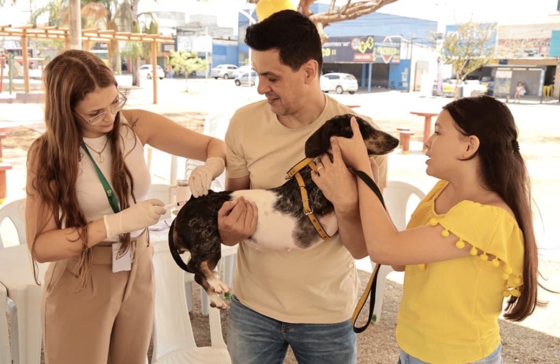 Aparecida terá Dia D de vacinação antirrábica para cães e gatos em 19 de setembro