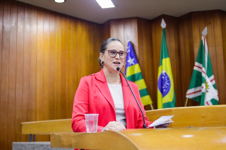 Kátia Maria pede ao TRE-GO fiscalização de transporte intermunicipal gratuito no segundo turno