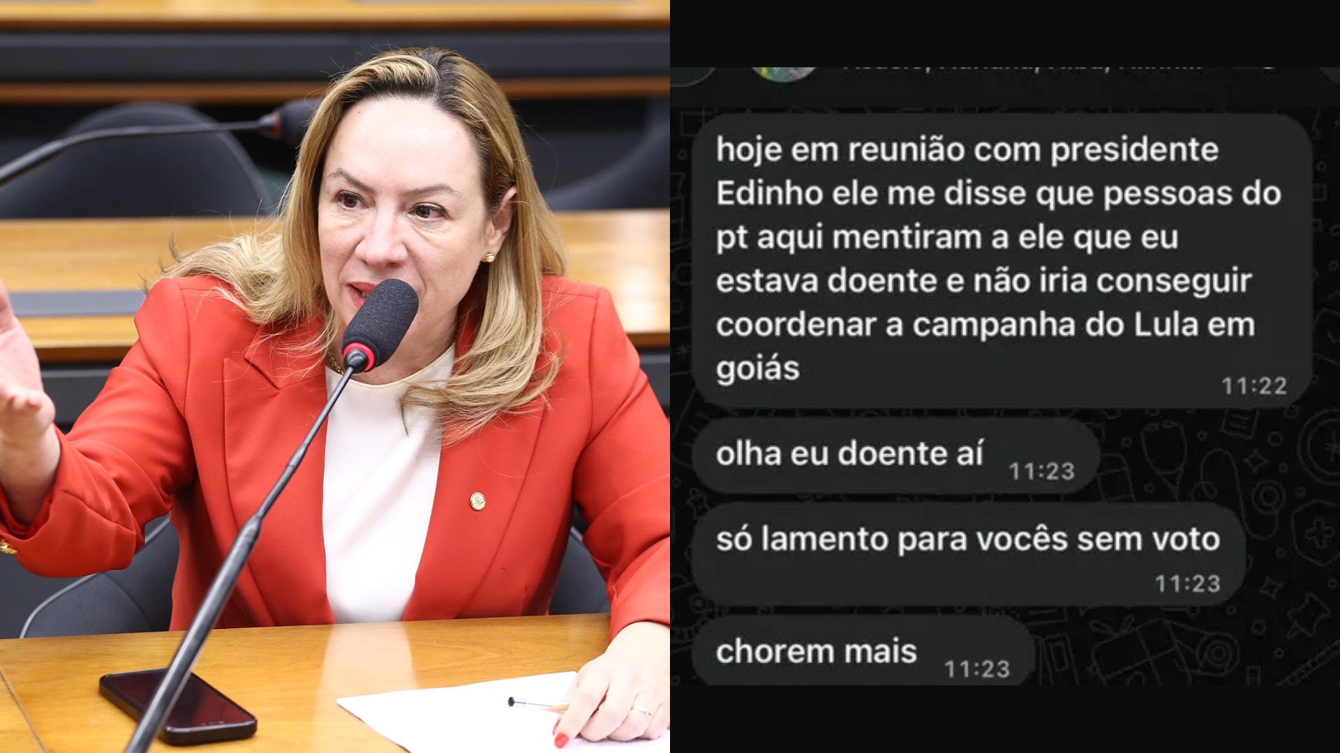Adriana Accorsi rompe com ala do PT-GO e cria corrente própria dentro do partido